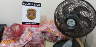 Cedida Polícia Civil