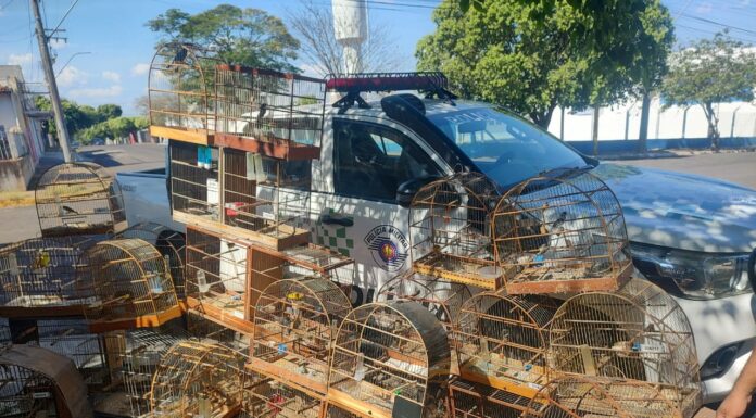 Cedida Polícia Ambiental