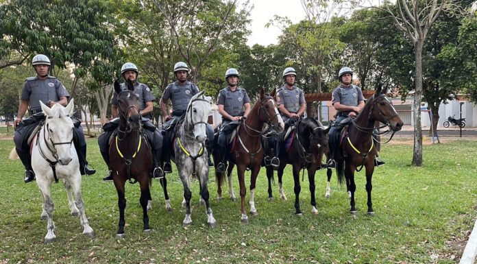 25°BPM-I: Polícia Militar desencadeia Operação Saturação Integrada em Dracena com apreensão de drogas e prisões