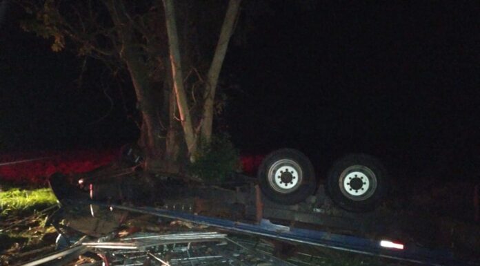 Caminhão atinge árvore e duas pessoas morrem em vicinal de Pacaembu