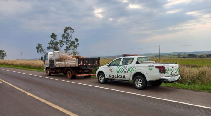 Polícia Ambiental constata transporte de madeira sem documentação