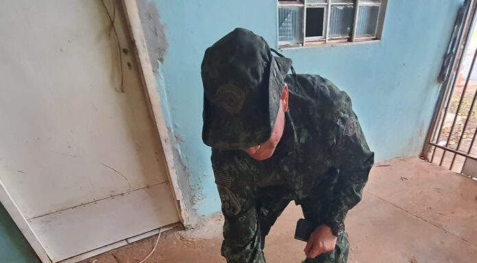 Morador de Rosana é multado em R$ 3 mil por maus-tratos em cadela