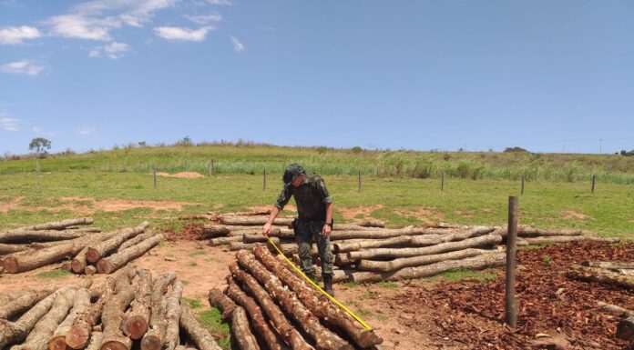 Sitiante é autuado em R$ 3,8 mil por armazenar madeira sem documentação