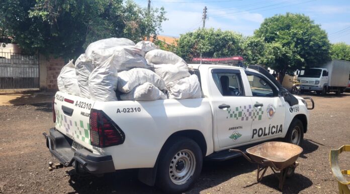 Polícia Ambiental apreende mais de 400 kg de carvão comercializados sem nota fiscal em Epitácio