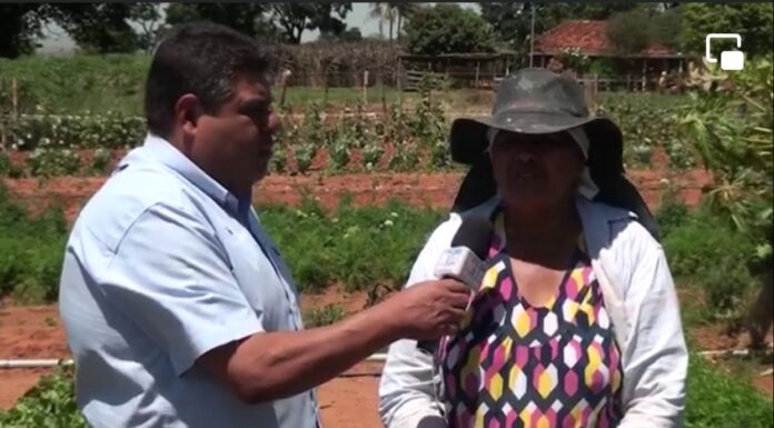 Programa TV Agro Interativa visita a “horta da Pretinha”, em Jaciporã