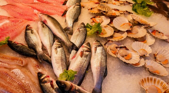 Você sempre come peixe ou só na Semana Santa?