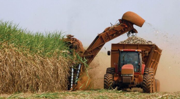 Estimativa de participação do agronegócio no PIB em 2022 é de 25,5%