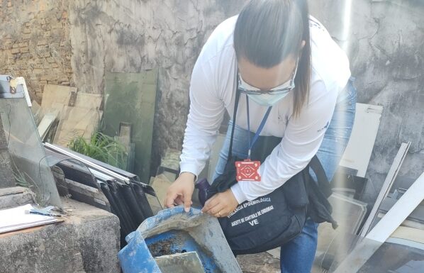 Mutirão de Limpeza contra o Aedes: confira os setores dos próximos dias