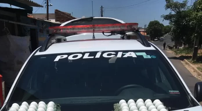 Homem furta 20 bandejas de ovos de residência em Osvaldo Cruz