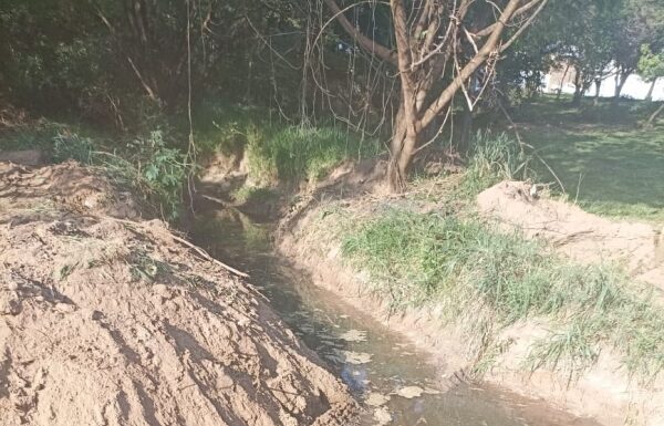 Manancial no cruzamento da avenida Inglaterra com a rua dos Mangueirais passa por revitalização