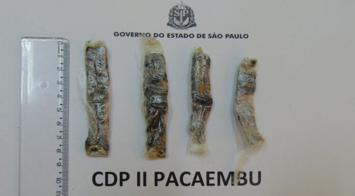 Apreensões de droga e bilhetes nos Centros de Detenção Provisória (CDPs)em Pacaembu
