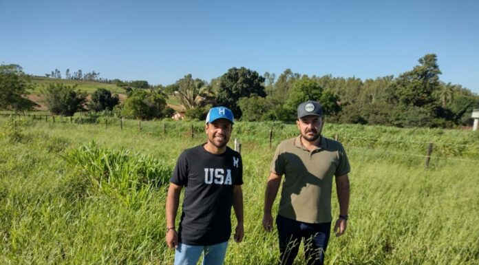Secretaria do Agronegócio de Dracena oferece técnicos de campo aos produtores rurais