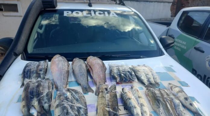 Homem é multado em R$ 1,3 mil por transporte ilegal de peixes ilegal na piracema