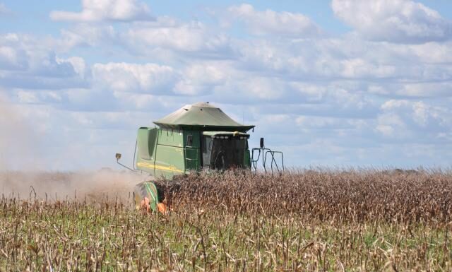 A moderna agricultura brasileira: mudanças e novas oportunidades