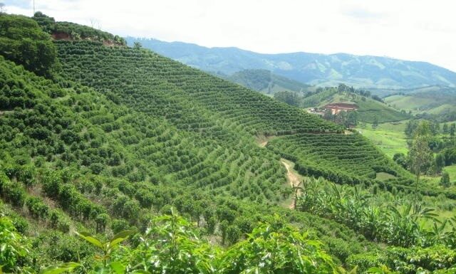 Agricultura movida a ciência