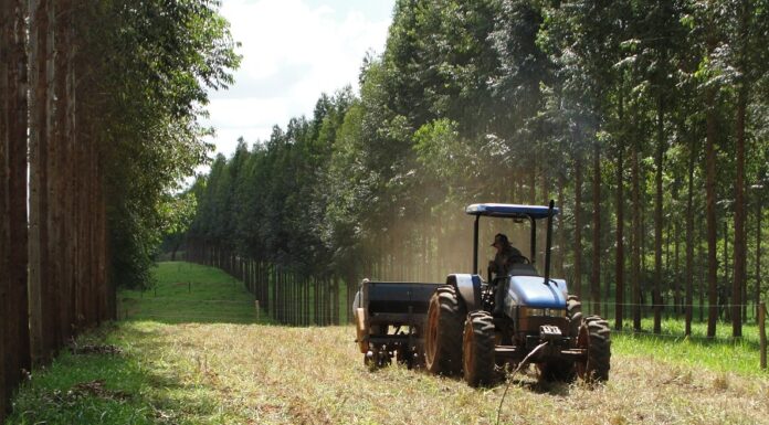 Tecnologias aumentam eficiência do uso de nutrientes no campo