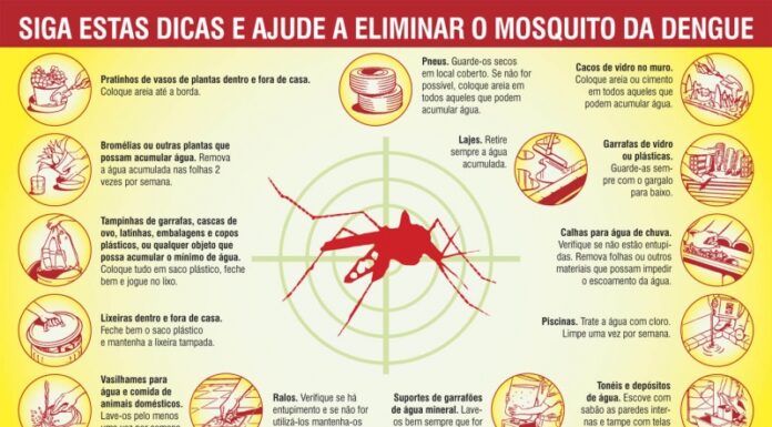 Dengue e outras doenças: Vigilância Epidemiológica orienta população