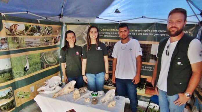 Junqueirópolis recebe exposição Tenda dos Parques