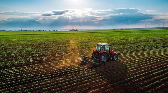 Começa declaração do Dipam para produtores rurais
