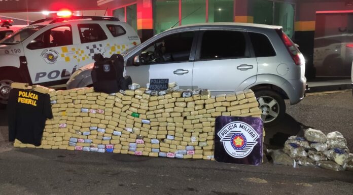 Polícias Rodoviária e Federal apreendem 450 quilos de maconha e skunk na SP-563