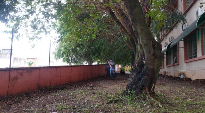 Limpeza Pública trabalha para deixar prédios das escolas prontos para receber os alunos