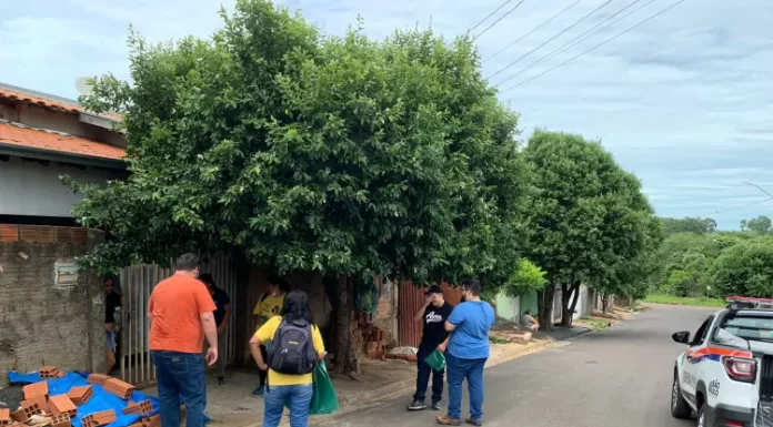 Lucélia confirma duas mortes por dengue