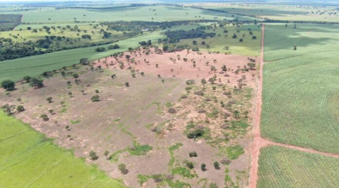 Fazenda é multada em mais de R$ 55 mil em Rancharia