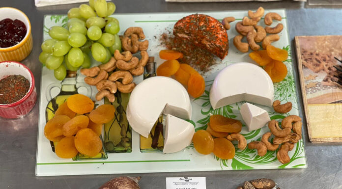 Pesquisa desenvolve bebida e “queijo” feitos com castanha de coco babaçu
