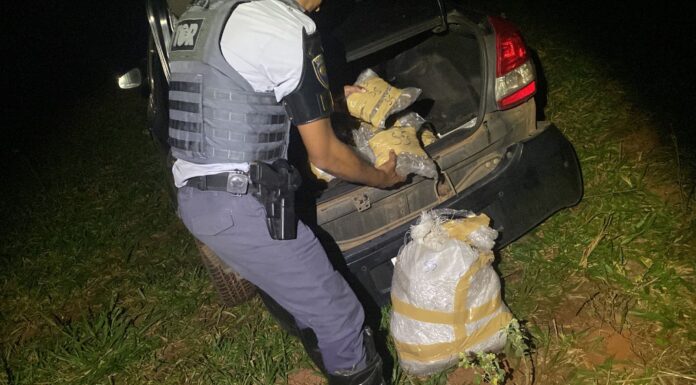 Polícia Rodoviária apreende mais de 28 quilos da droga skunk em carro com placas de Dracena