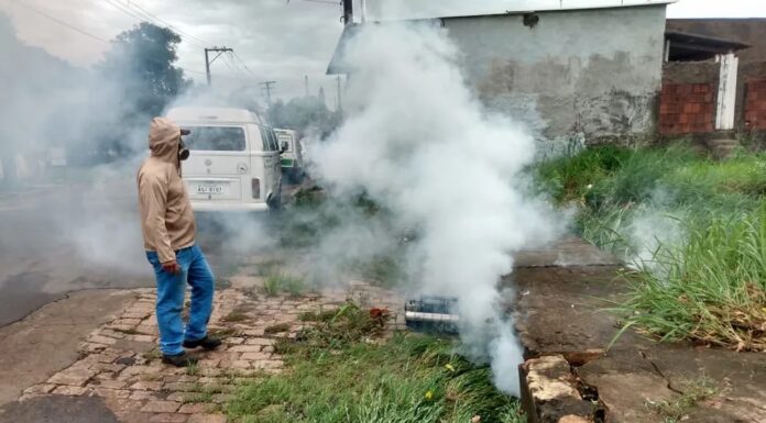 Osvaldo Cruz registra 81 novos casos de dengue