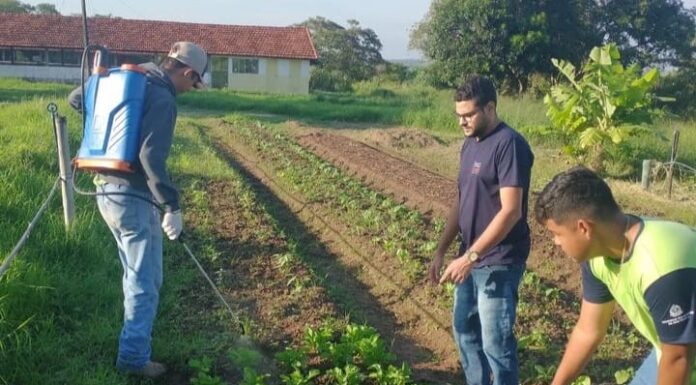 Etec de Prudente cria repelente orgânico que combate pragas na produção agrícola