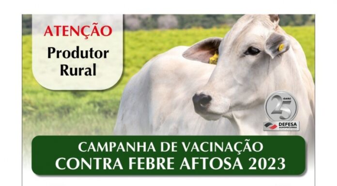 Cerca de 28 mil animais devem ser vacinados contra a febre aftosa e a brucelose em Dracena