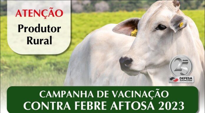 Febre Aftosa – São Paulo se prepara para campanha de maio de 2023