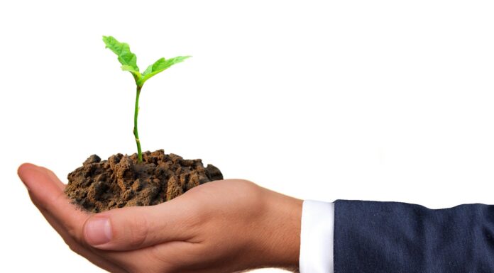 A multifuncionalidade da agricultura