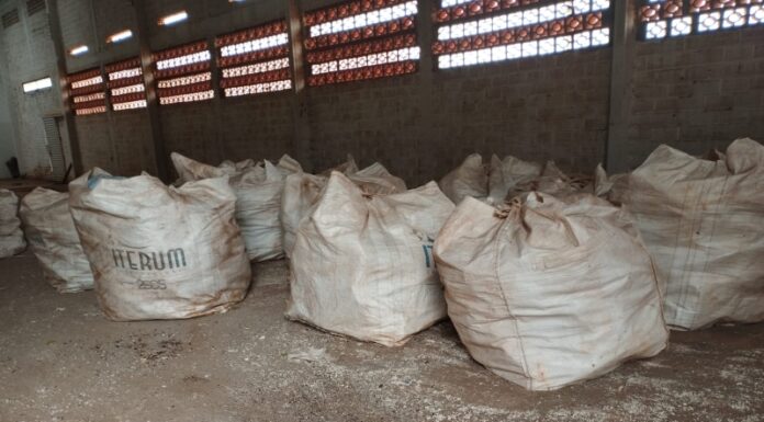 Ação de recolhimento de embalagens de agrotóxicos tem boa aceitação