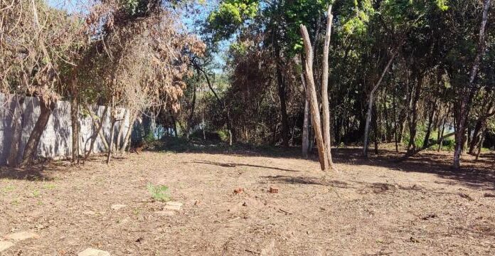 Homem é multado em R$ 18,7 mil por danos ambientais e corte ilegal de árvores em Rancharia