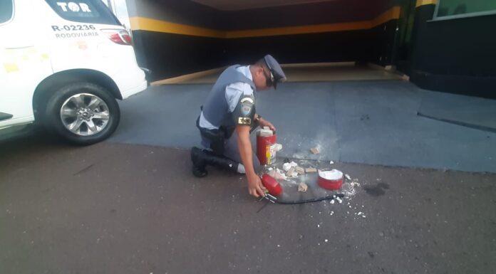 Boliviana de 21 anos é presa por tráfico de drogas na SP-270 em P. Venceslau