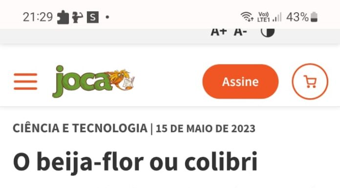 Educação de Tupi Paulista é destaque no jornal Joca, especializado em matérias para crianças