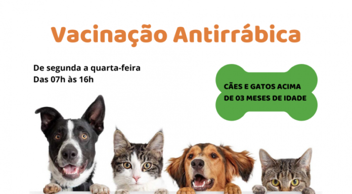 Zoonoses realiza vacinação antirrábica em cães e gatos