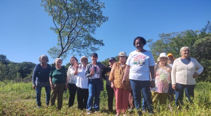 CCI visita Parque Estadual do Aguapeí em comemoração a Semana do Meio Ambiente