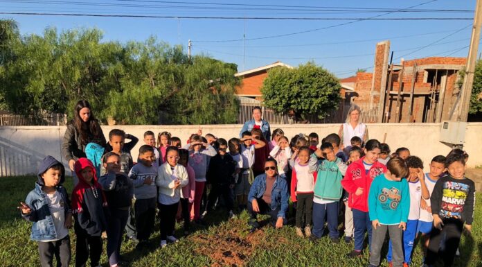 Dia do Meio Ambiente é comemorado pela Educação em Junqueirópolis