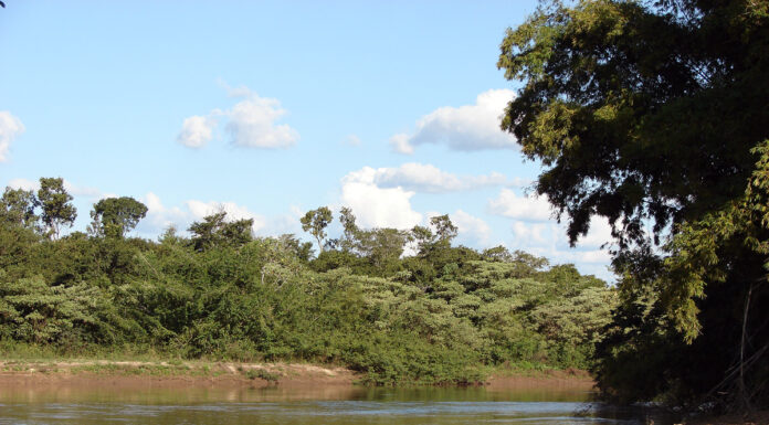 Oeste paulista ganhará duas Promotorias Regionais do Meio Ambiente