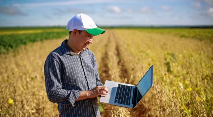 A Agricultura e a Indústria de transformação
