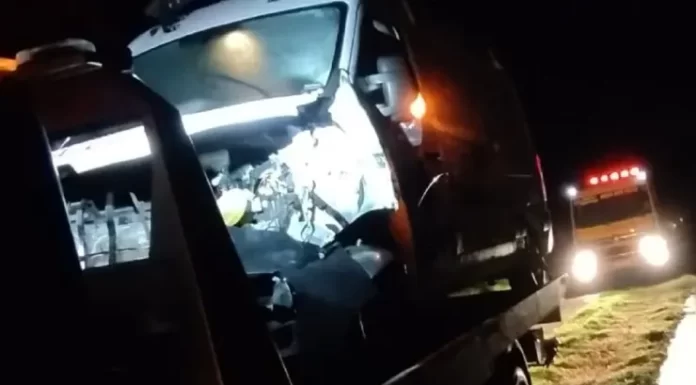 Ambulância da região atropela e mata boi na pista da SP-457 em Bastos