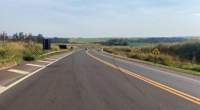 Homem é preso por furto e embriaguez ao volante após veículo capotar na SP-483 em Taciba