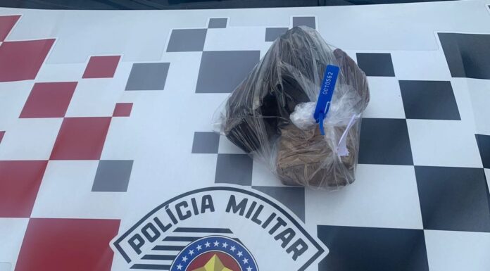 PM apreende maconha em Pacaembu após cão de estimação desenterrar pacote da droga