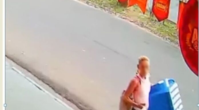 Polícia Civil identifica autora do furto a pet shop em Presidente Prudente