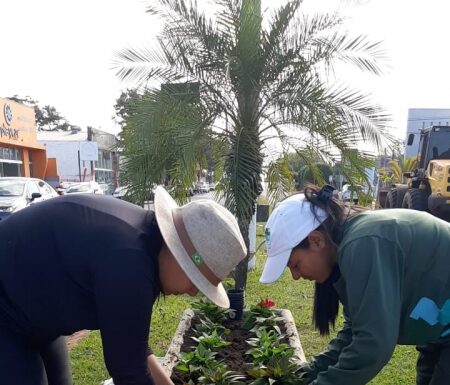 Meio Ambiente realiza revitalização dos canteiros de Dracena