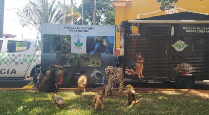 Polícia Militar Ambiental participará da ExpoVerde 2023