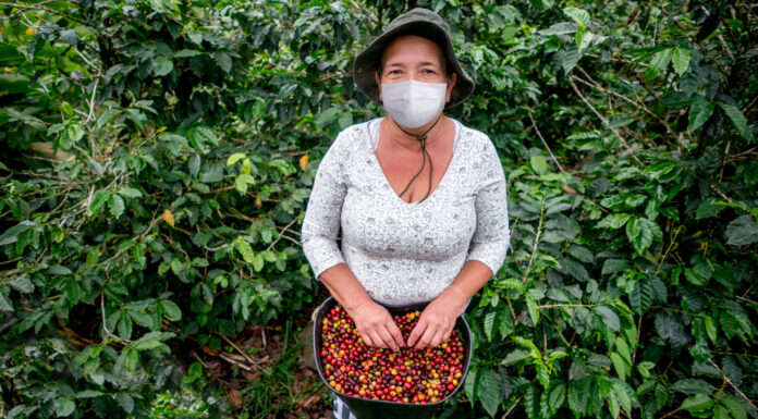A necessidade e a importância do uso de máscaras respiratórias na agricultura